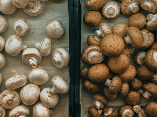 Are Mushrooms Low-Carb? A Complete Guide for Low-Carb and Keto Dieters